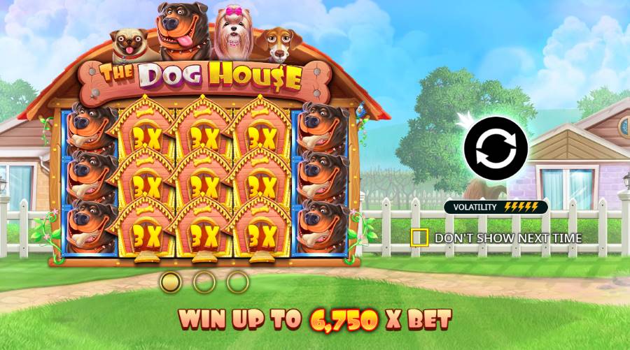 jeu de base et symboles dans the dog house
